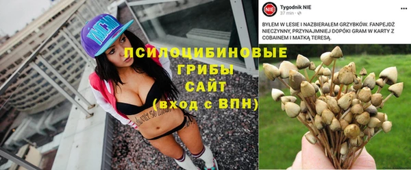 тгк Ладушкин