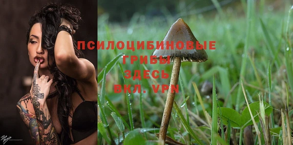 марки lsd Лагань