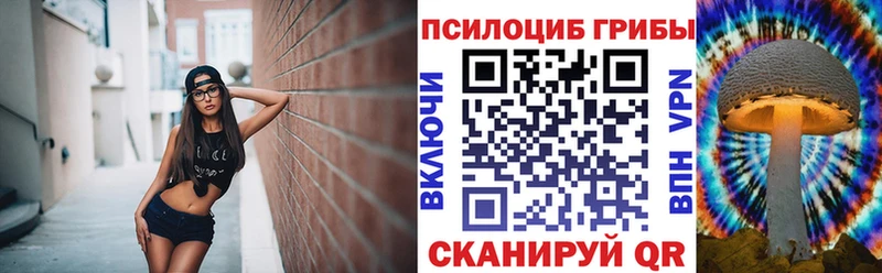 Псилоцибиновые грибы Cubensis  Купить где  Шагонар 